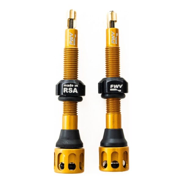 FlowWorx Gold tubeless valve